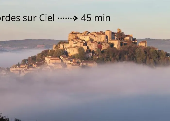 Cosy - Hypercentre - Calme - 30m2 - Albi