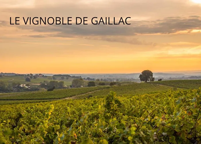 Cosy - Hypercentre - Calme - 30m2 - *